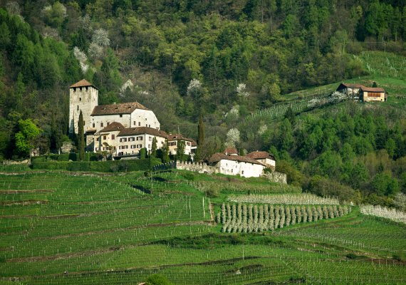 Schloss Lebenberg in Tscherms